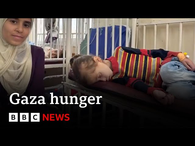 ⁣BBC exclusive:  US doctor’s shocking video from frontline hospital in Gaza | BBC News