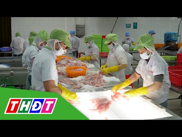 ⁣Việt Nam thuộc top 5 nhà cung cấp thủy sản cho Singapore | THDT