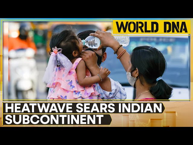 ⁣India braces for severe heatwaves, residents flock to the beach to cool down | WION World DNA