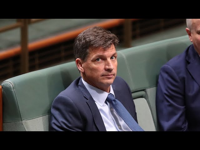 ⁣Angus Taylor ‘setting tests’ for Labor that the Coalition ‘never met’: Stephen Jones