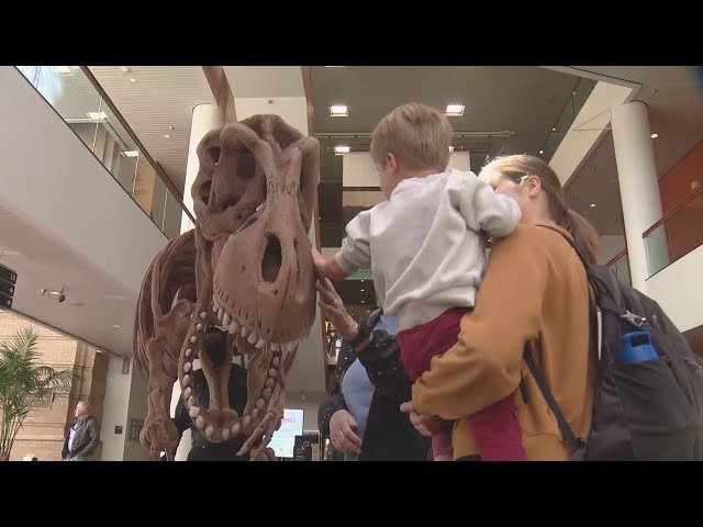 ⁣Día Del Niño event celebrates children at Denver Museum of Nature and Science