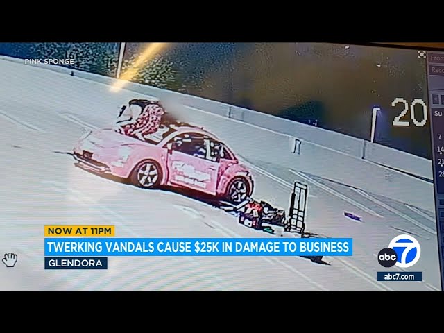 Twerking teens vandalize 18 cars at Glendora business