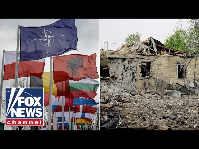 ⁣How NATO allies are stepping up to help Ukraine