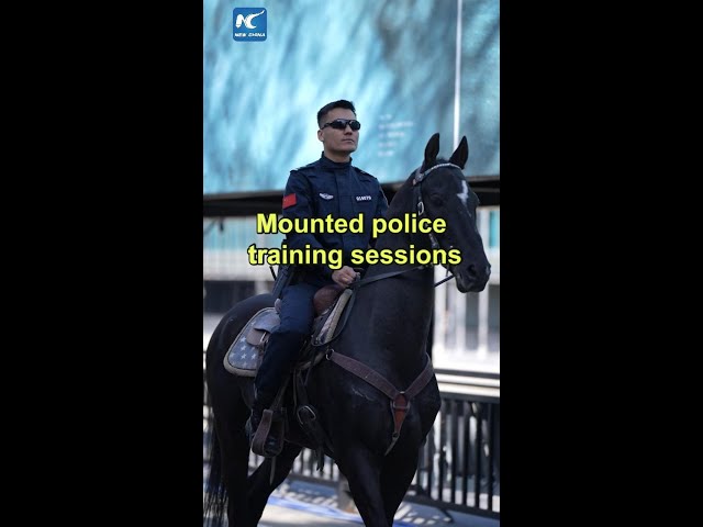 ⁣Mounted police undergo training in China's Xinjiang
