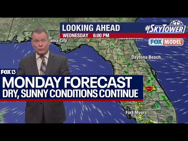 ⁣Tampa weather April 29, 2024 | lots of sun this week