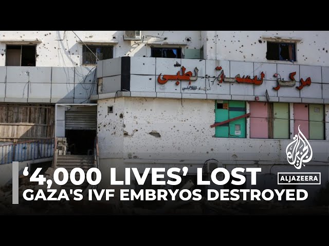 ⁣Thousands of IVF embryos destroyed in Israeli attack on Gaza’s largest fertility centre