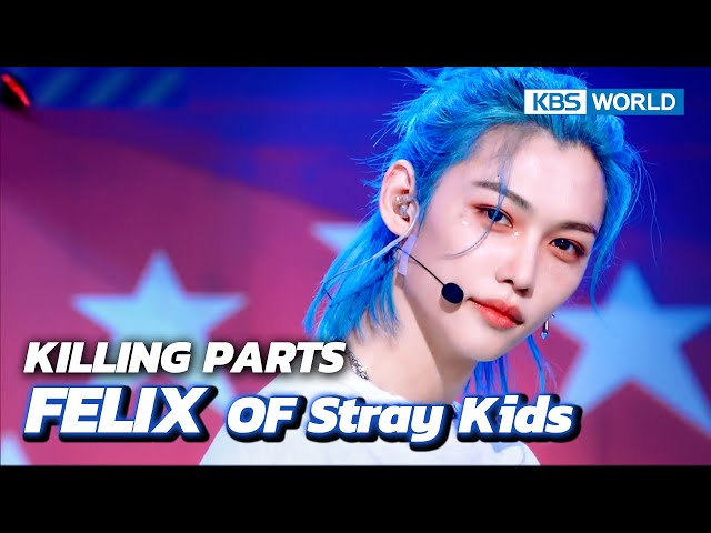[Killing Parts] Felix of Stray Kids | KBS WORLD TV