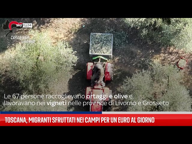⁣Toscana, migranti a Piombino sfruttati nei campi: 10 arresti