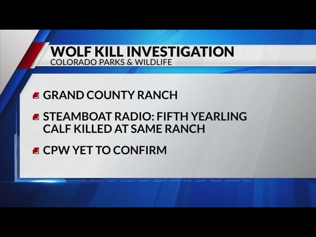 ⁣CPW investigates possible 4th wolf depredation in Grand County