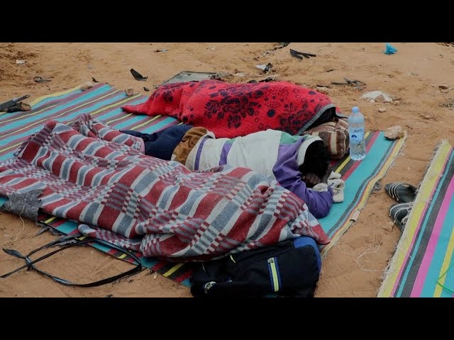 ⁣تونس: حقول الزيتون ملجأ المهاجرين المؤقت آملين ببلوغ أوروبا