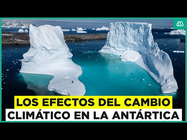 ⁣¿Cómo afecta el cambio climático a la Antártica? Descubre los secretos del continente blanco