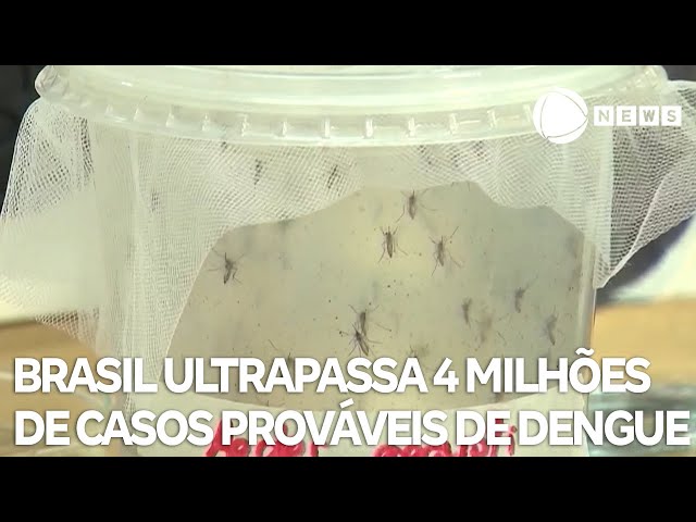 ⁣Brasil ultrapassa 4 milhões de casos prováveis de dengue