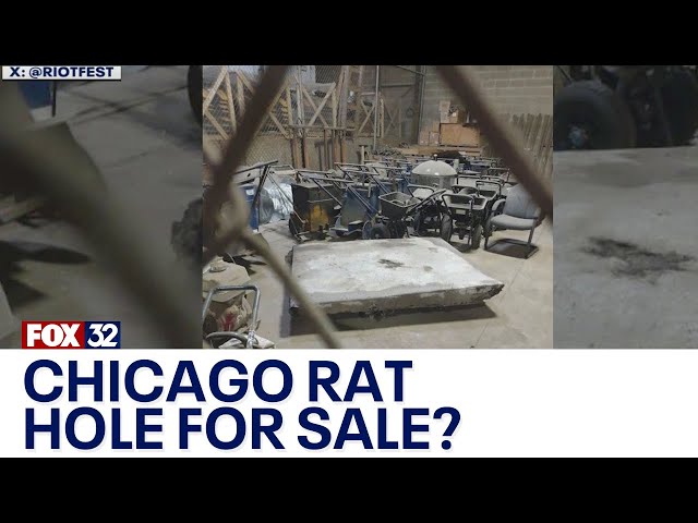 ⁣Riot Fest wants to buy the iconic 'Chicago Rat Hole' after it was removed by construction 