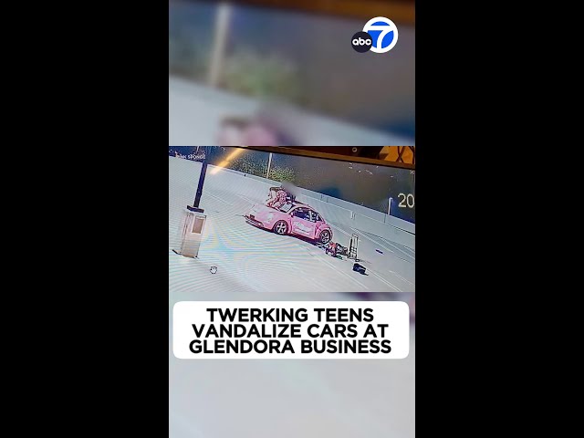 ⁣Twerking teens vandalize 18 cars at Glendora cleaning business