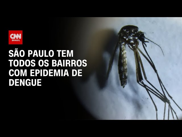 ⁣São Paulo tem todos os bairros com epidemia de dengue | CNN PRIME TIME