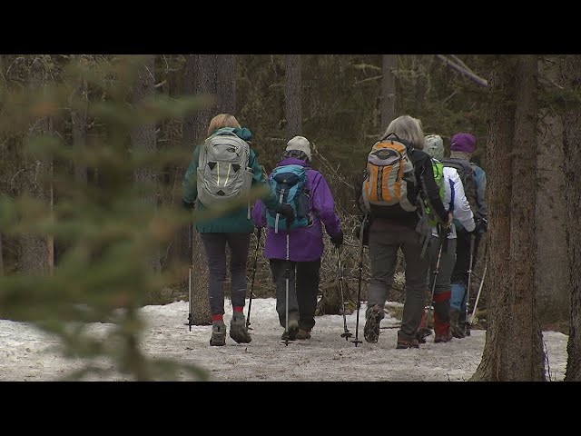 ⁣Albertans concerned about disappearing hiking trails near Calgary due to planned logging