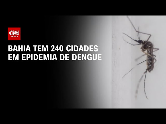 ⁣Bahia tem 240 cidades em epidemia de dengue | CNN PRIME TIME