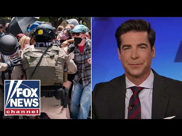 ⁣Jesse Watters: What’s going on is 'insanity'