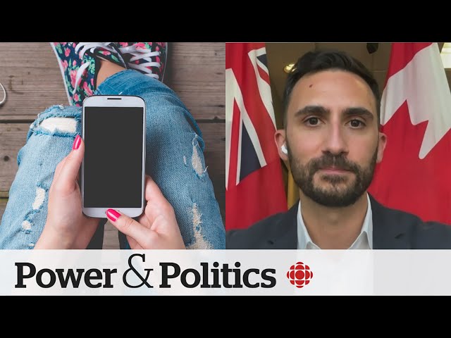⁣‘We’ve learned lessons from 2019,’ says Lecce on phone ban in schools | Power & Politics