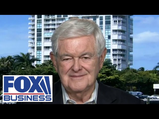 ⁣Newt Gingrich: These protests are anti-American