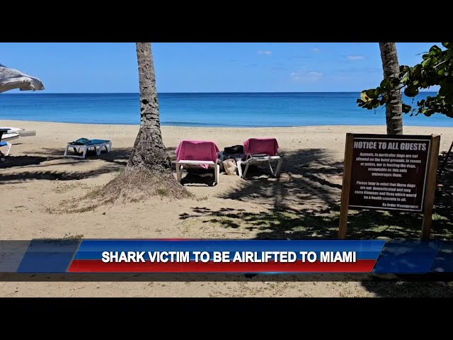 ⁣Shark Victim Update