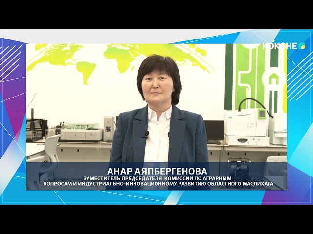 ⁣ЭКСПЕРТНОЕ МНЕНИЕ | Анар Аяпбергенова - 25.04.2024