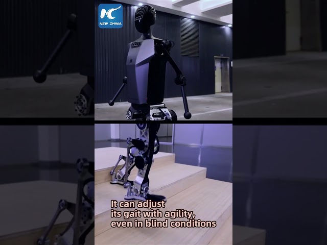 ⁣Meet Tiangong: China made humanoid robot platform