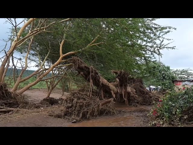 ⁣At least 42 killed as dam bursts in Kenya amid heavy downpour