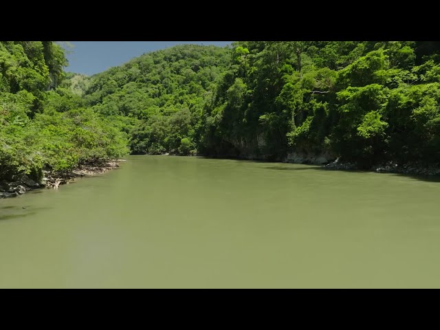 La hora TAL (04/05/2024) Promo | TVPerú