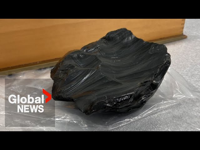 ⁣Rare obsidian artifact found in Edmonton couple's backyard