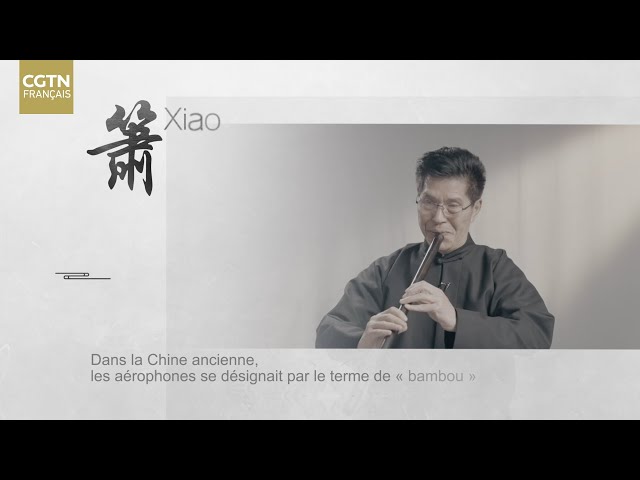 ⁣Zhang Weiliang : la musique chinoise doit trouver sa spécialité dans l'universialité