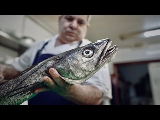 ⁣Is hake's remarkable recovery in the Atlantic a sign of hope for our oceans?