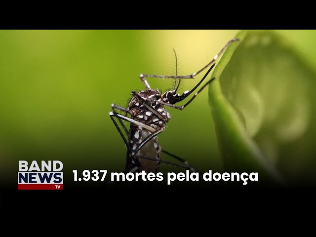 ⁣Brasil ultrapassa 4 milhões de casos de dengue | BandNews TV