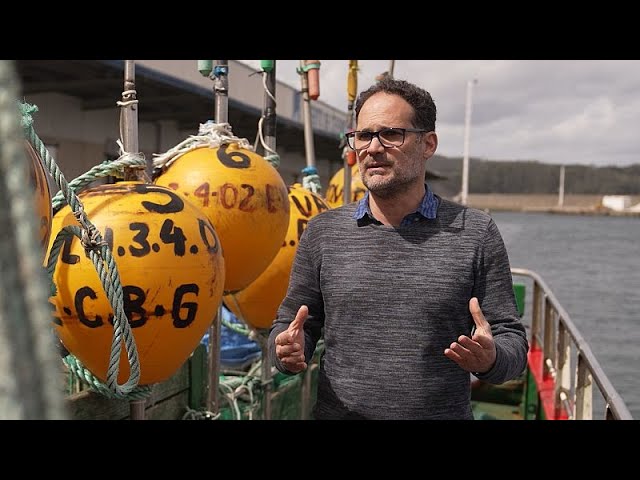 ⁣Interview: Wie Europas schnelles Handeln den Seehecht rettete