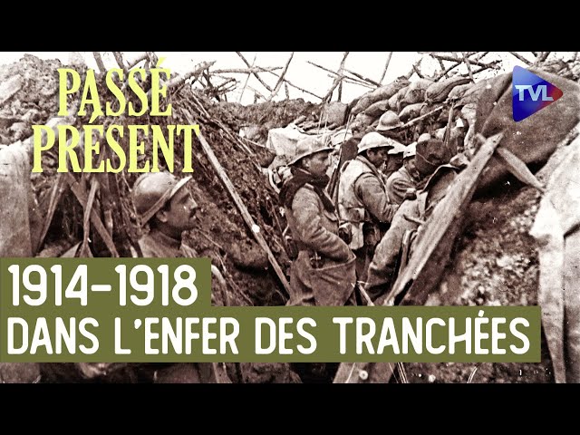⁣Grande Guerre : plongée dans l'enfer des tranchées - Le nouveau Passé-Présent -  TVL