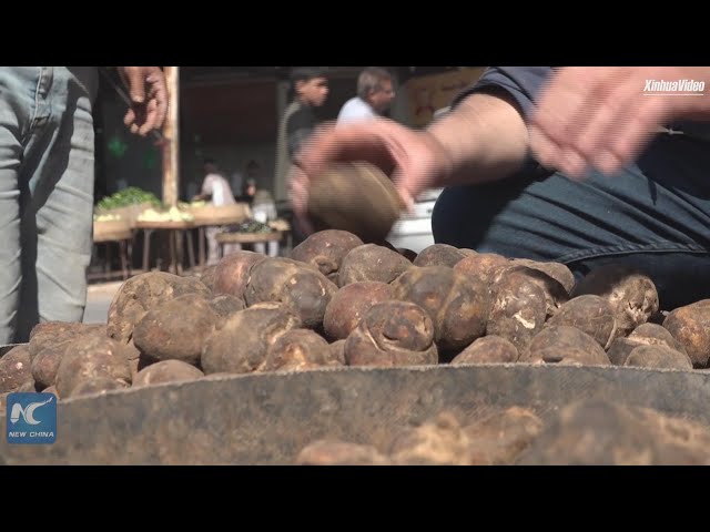 ⁣Soaring truffle prices lure Syrian collectors on dangerous hunt