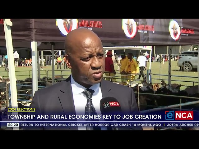 ⁣2024 Elections | Township and rural economies key to job creation
