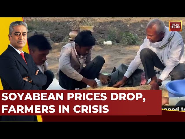 ⁣Maharashtra: Farmers In Marathwada Hit By Water Scarcity, Drop In Soybean Prices | Get Real India