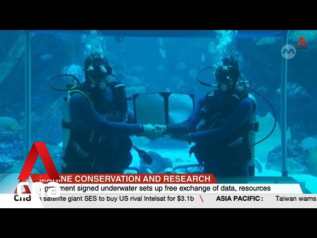 ⁣S.E.A. Aquarium and NTU researchers to study climate change impact