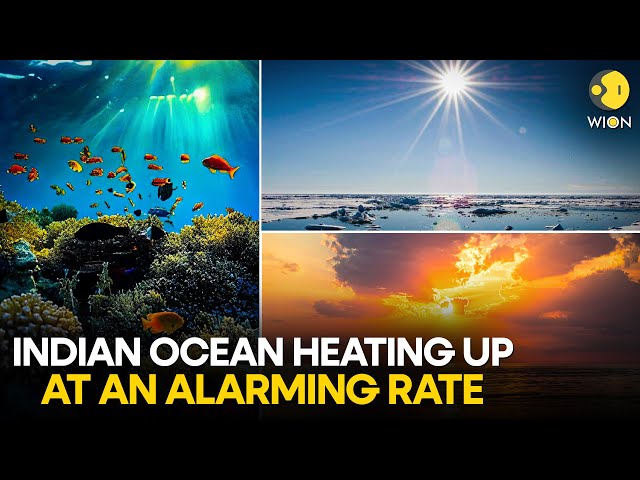 ⁣'One atomic bomb detonation every second for a decade': Indian Ocean warming up | WION Ori