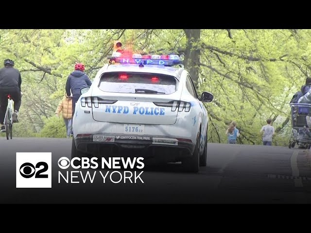 ⁣Thieves in Central Park targeting people with electronics, NYPD says