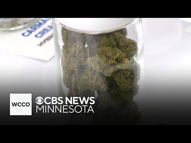 ⁣Minnesota lawmakers aim to speed up marijuana grow timeline