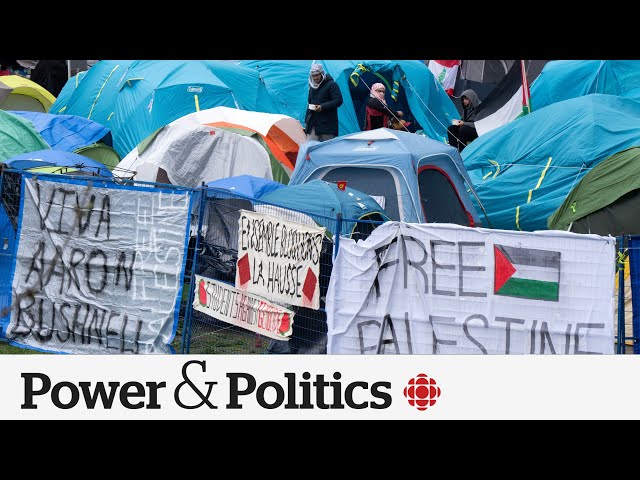 ⁣McGill encampment 'doesn't work' on campus: university official | Power & Politic