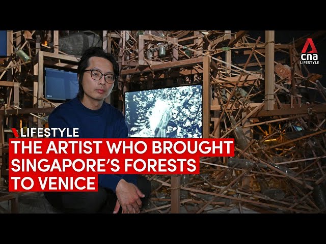 ⁣The Singapore artist who brought Bukit Panjang's forest to the Venice Biennale