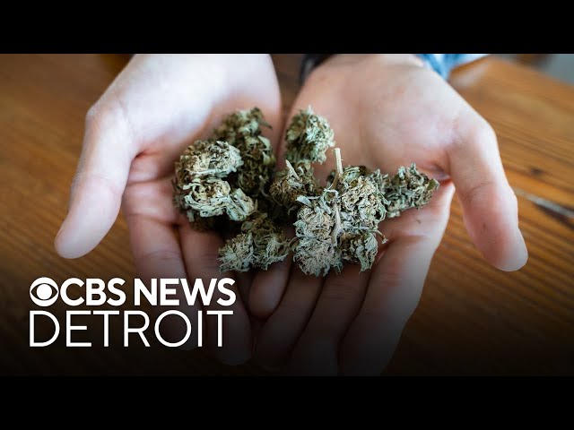 DEA to reclassify marijuana. What does this mean for Michigan?