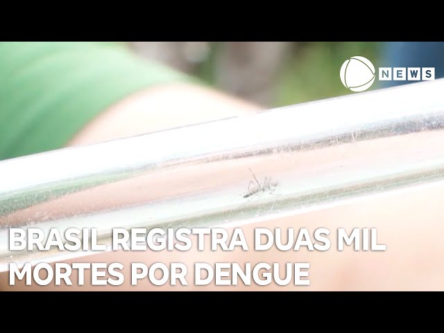 ⁣Brasil atinge marca de duas mil mortes por dengue