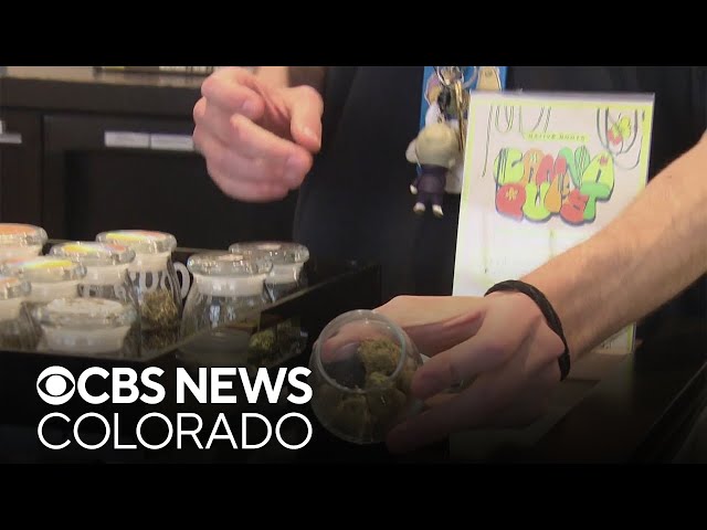 ⁣What does possible marijuana rescheduling mean for state of pot businesses in Colorado?