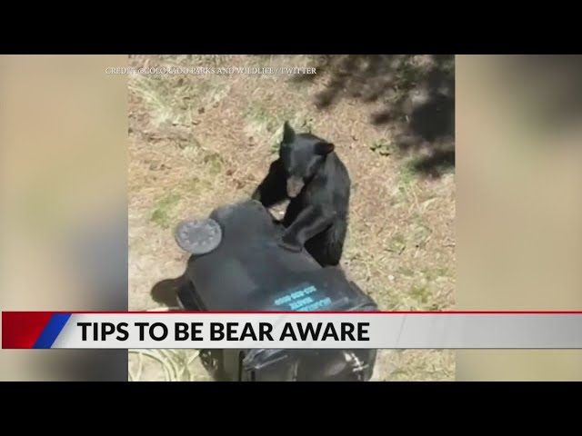 ⁣CPW: Bears are out and hungry