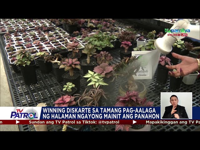 ⁣Winning Moment: Pag-aalaga sa halaman ngayong mainit na panahon | TV Patrol