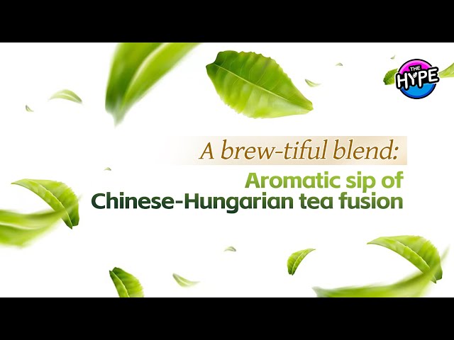⁣Watch: THE HYPE – A Brew-tiful Blend: Aromatic Sip of Chinese-Hungarian Tea Fusion